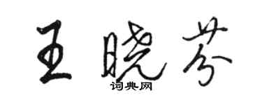 駱恆光王曉芬行書個性簽名怎么寫