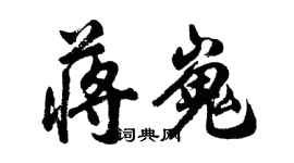胡問遂蔣嵬行書個性簽名怎么寫