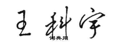 駱恆光王科宇草書個性簽名怎么寫