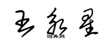 朱錫榮王永星草書個性簽名怎么寫