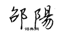 王正良邵陽行書個性簽名怎么寫