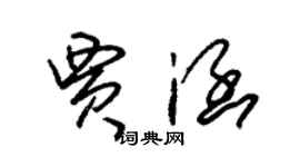 朱錫榮賈涵草書個性簽名怎么寫