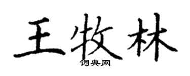 丁謙王牧林楷書個性簽名怎么寫