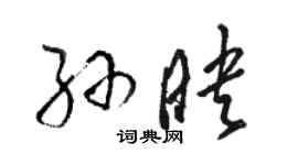 駱恆光孫映草書個性簽名怎么寫