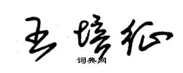 朱錫榮王培征草書個性簽名怎么寫
