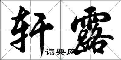 胡問遂軒露行書怎么寫