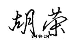 駱恆光胡榮行書個性簽名怎么寫