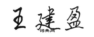 駱恆光王建盈行書個性簽名怎么寫