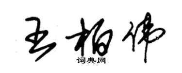 朱錫榮王柏偉草書個性簽名怎么寫