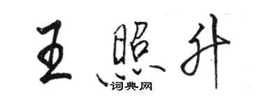 駱恆光王照升行書個性簽名怎么寫