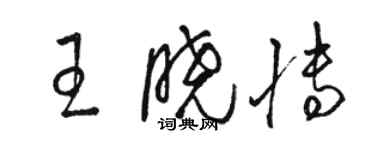 駱恆光王曉博草書個性簽名怎么寫