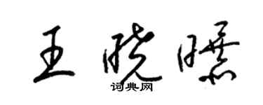 梁錦英王曉曝草書個性簽名怎么寫