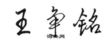 駱恆光王爭銘行書個性簽名怎么寫