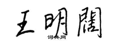 王正良王明闊行書個性簽名怎么寫