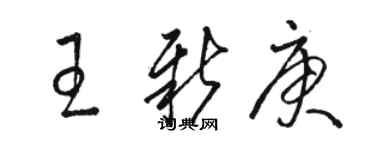 駱恆光王新庚草書個性簽名怎么寫