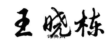 胡問遂王曉棟行書個性簽名怎么寫