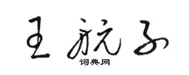 駱恆光王航子草書個性簽名怎么寫