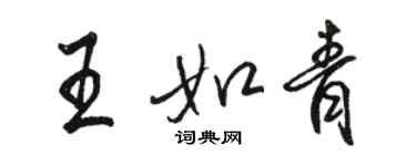 駱恆光王如青行書個性簽名怎么寫