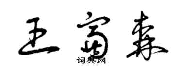 曾慶福王富森草書個性簽名怎么寫