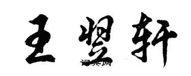 胡問遂王翌軒行書個性簽名怎么寫