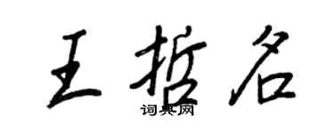 王正良王哲名行書個性簽名怎么寫