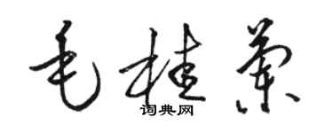 駱恆光毛桂蘭草書個性簽名怎么寫