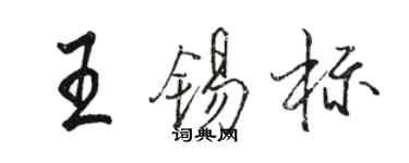 駱恆光王錫標行書個性簽名怎么寫