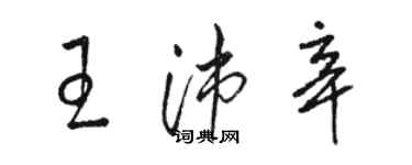 駱恆光王沛辛草書個性簽名怎么寫