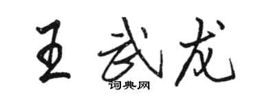 駱恆光王武龍行書個性簽名怎么寫