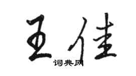駱恆光王佳行書個性簽名怎么寫
