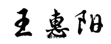 胡問遂王惠陽行書個性簽名怎么寫