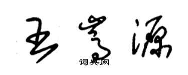 朱錫榮王嵩源草書個性簽名怎么寫