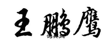 胡問遂王鵬鷹行書個性簽名怎么寫