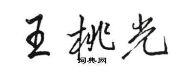 駱恆光王桃光行書個性簽名怎么寫