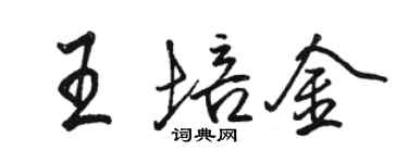 駱恆光王培金行書個性簽名怎么寫