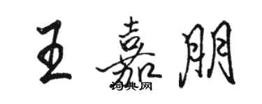 駱恆光王嘉朋行書個性簽名怎么寫