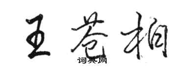 駱恆光王蒼柏行書個性簽名怎么寫