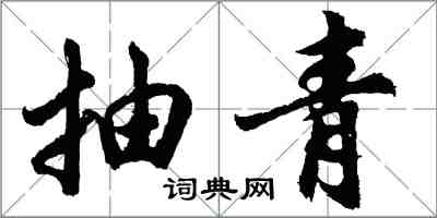 胡問遂抽青行書怎么寫