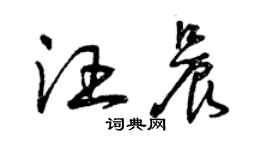 曾慶福汪晨草書個性簽名怎么寫