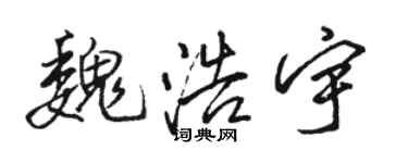 駱恆光魏浩宇行書個性簽名怎么寫