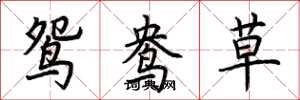 荊霄鵬鴛鴦草楷書怎么寫
