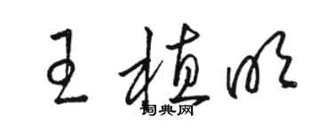 駱恆光王植明草書個性簽名怎么寫