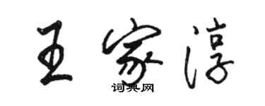 駱恆光王家淳行書個性簽名怎么寫