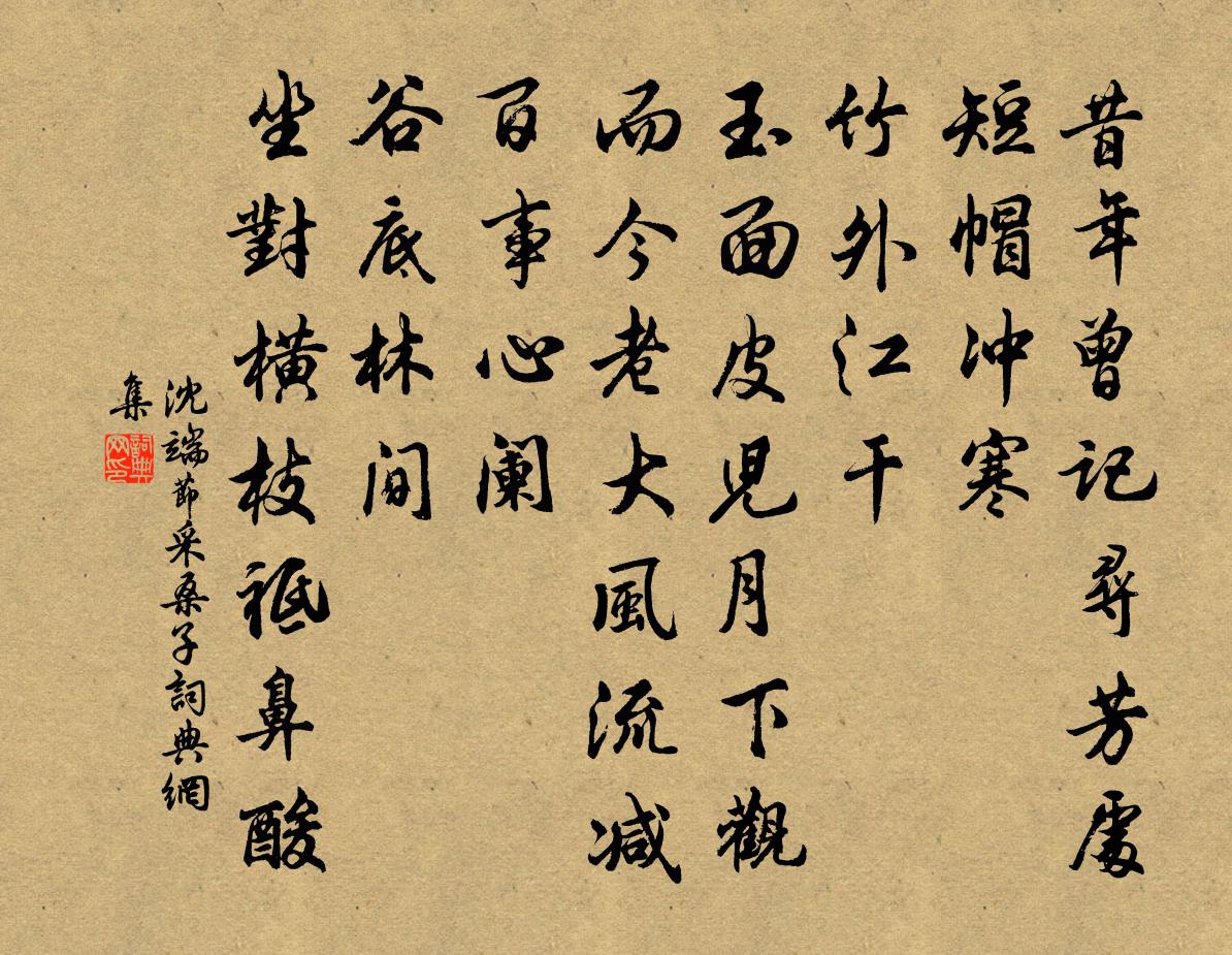 沈端節採桑子書法作品欣賞