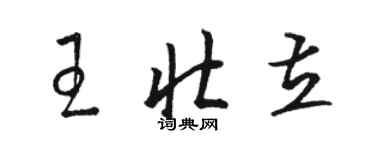 駱恆光王壯立草書個性簽名怎么寫