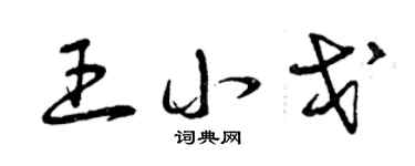 曾慶福王小戈草書個性簽名怎么寫