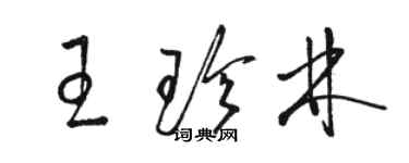 駱恆光王珍林草書個性簽名怎么寫