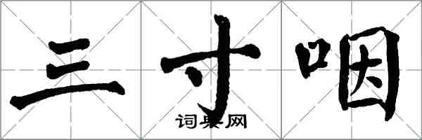 翁闓運三寸咽楷書怎么寫