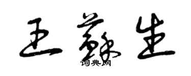 曾慶福王蘇生草書個性簽名怎么寫