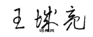 駱恆光王城亮草書個性簽名怎么寫